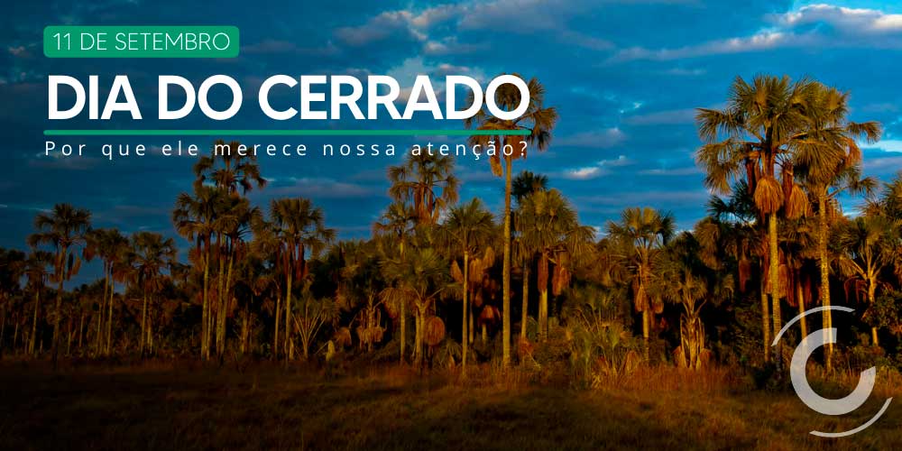 Cerrado Day – Emas-Taquari Biodiversity Corridor Carbon Project