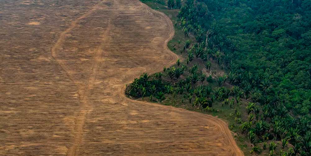 Amazon savannization may cause desertification in other areas